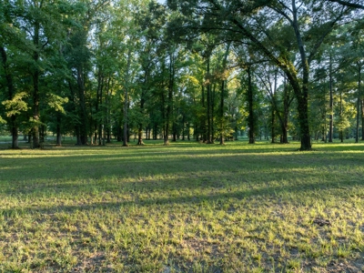 Overton Texas Ranch for Sale in Rusk County East of Dallas - image 3