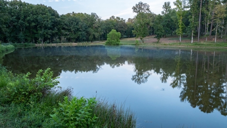 Overton Texas Ranch for Sale in Rusk County East of Dallas - image 23