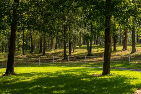 Overton Texas Ranch for Sale in Rusk County East of Dallas - image 6