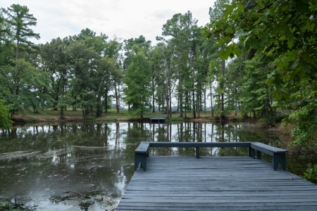 Overton Texas Ranch for Sale in Rusk County East of Dallas - image 22