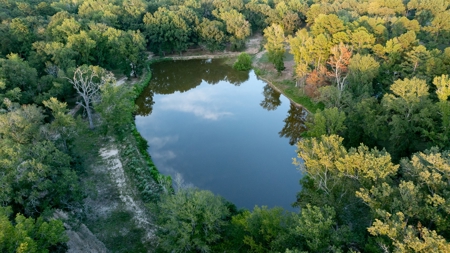 Overton Texas Ranch for Sale in Rusk County East of Dallas - image 35