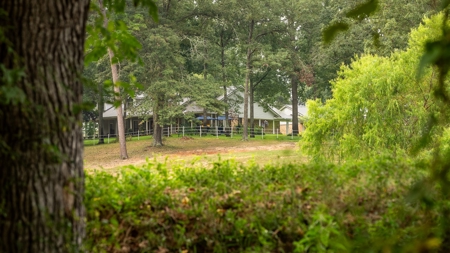 Overton Texas Ranch for Sale in Rusk County East of Dallas - image 8