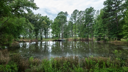 Overton Texas Ranch for Sale in Rusk County East of Dallas - image 24