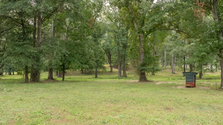 Overton Texas Ranch for Sale in Rusk County East of Dallas - image 34