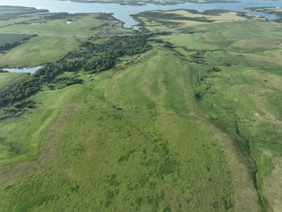 Land For Sale in Olivet, KS by Melvern Lake 98± Acres - image 4