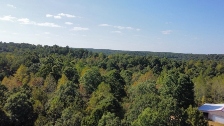 Country Home for Sale in Lewis County, Tennessee - image 43