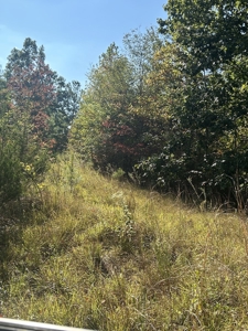 Country Home for Sale in Lewis County, Tennessee - image 37