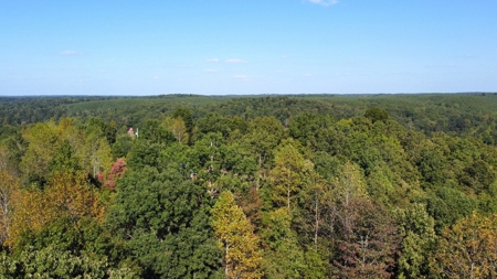 Country Home for Sale in Lewis County, Tennessee - image 22