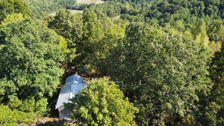 Country Home for Sale in Lewis County, Tennessee - image 21