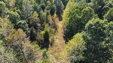 Country Home for Sale in Lewis County, Tennessee - image 28