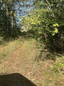 Country Home for Sale in Lewis County, Tennessee - image 35
