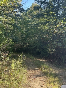 Country Home for Sale in Lewis County, Tennessee - image 36