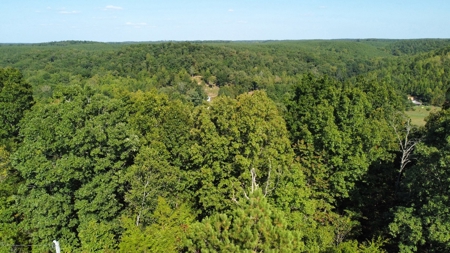 Country Home for Sale in Lewis County, Tennessee - image 23