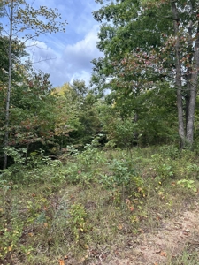 Country Home for Sale in Lewis County, Tennessee - image 38