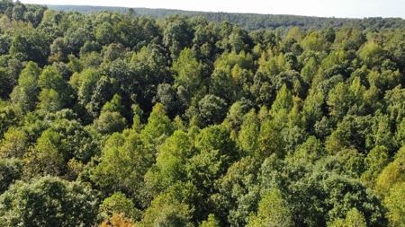 Country Home for Sale in Lewis County, Tennessee - image 24