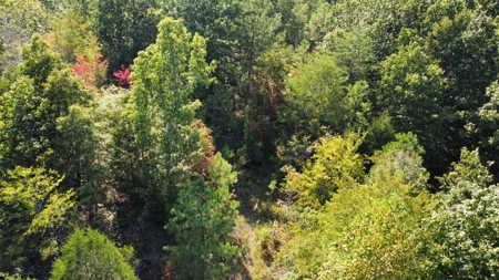 Country Home for Sale in Lewis County, Tennessee - image 26