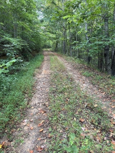 Country Home for Sale in Lewis County, Tennessee - image 30