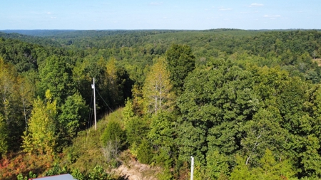 Country Home for Sale in Lewis County, Tennessee - image 25