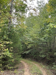 Country Home for Sale in Lewis County, Tennessee - image 33