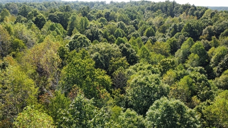 Country Home for Sale in Lewis County, Tennessee - image 27