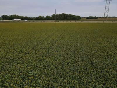 Land For Sale Vernon County MO - image 9