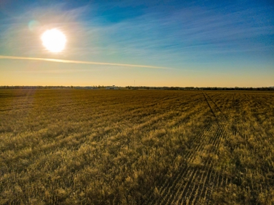 Land for Sale in Barton County, MO - image 26