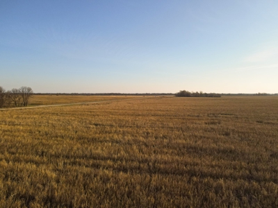 Land for Sale in Barton County, MO - image 20