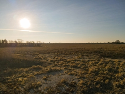 Land for Sale in Barton County, MO - image 24