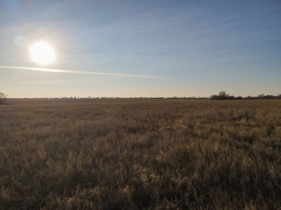 Land for Sale in Barton County, MO - image 21