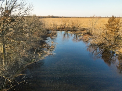 Land for Sale in Barton County, MO - image 34