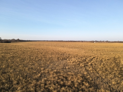 Land for Sale in Barton County, MO - image 28