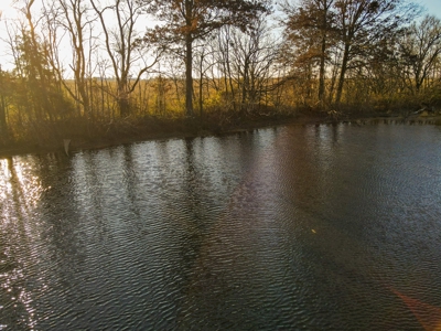 Land for Sale in Barton County, MO - image 33