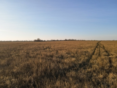 Land for Sale in Barton County, MO - image 22