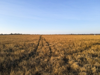 Land for Sale in Barton County, MO - image 23