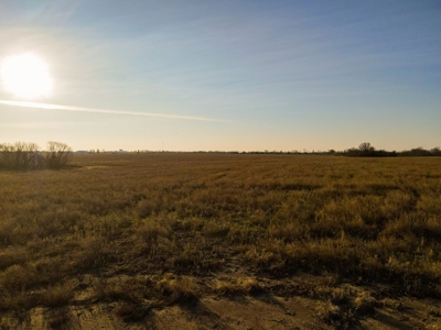Land for Sale in Barton County, MO - image 25