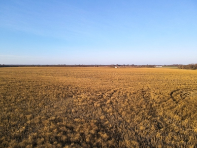 Land for Sale in Barton County, MO - image 29