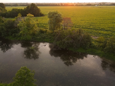 Land for Sale in Barton County, MO - image 1