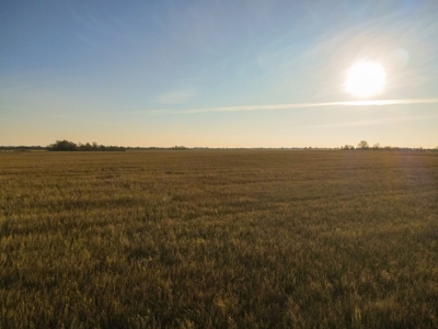 Land for Sale in Barton County, MO - image 19