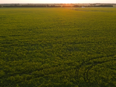 Land for Sale in Barton County, MO - image 2