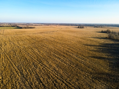 Land for Sale in Barton County, MO - image 13