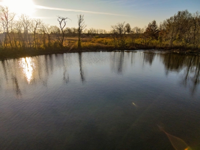 Land for Sale in Barton County, MO - image 11