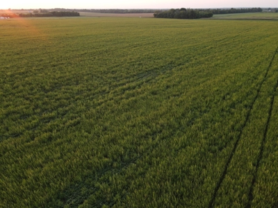 Land for Sale in Barton County, MO - image 3