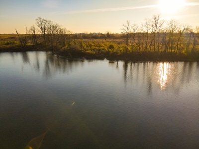 Land for Sale in Barton County, MO - image 12