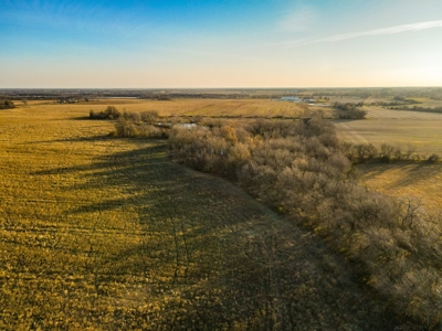 Land for Sale in Barton County, MO - image 14