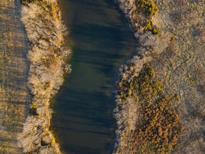 Land for Sale in Barton County, MO - image 9
