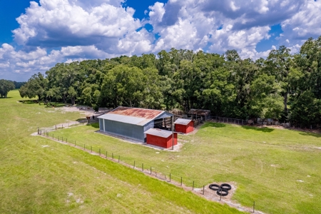 Chiefland Country Home For Sale! - image 11