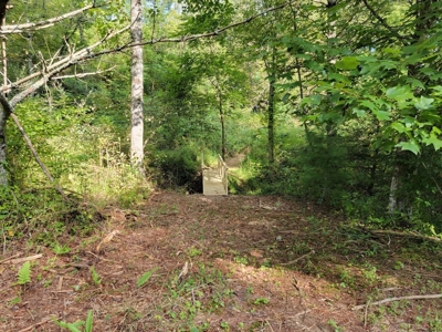Creekfront Property for Sale in Mouth of Wilson VA - image 5