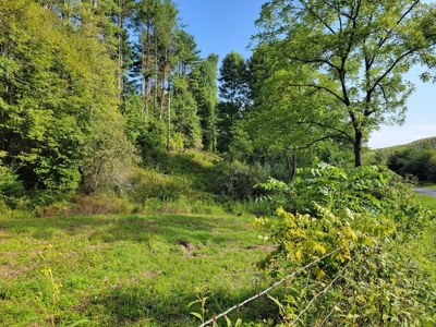 Creekfront Property for Sale in Mouth of Wilson VA - image 1
