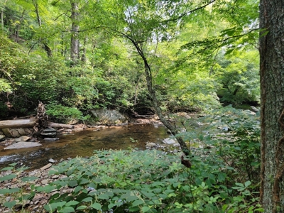 Creekfront Property for Sale in Mouth of Wilson VA - image 15