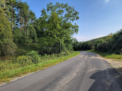 Creekfront Property for Sale in Mouth of Wilson VA - image 4